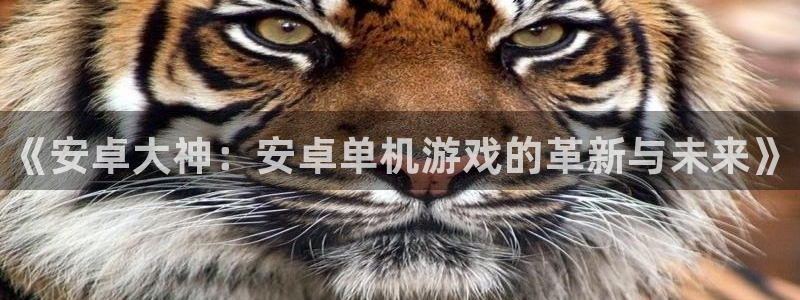 欧博娱乐app：《安卓大神：安卓单机游戏的革新与未来》