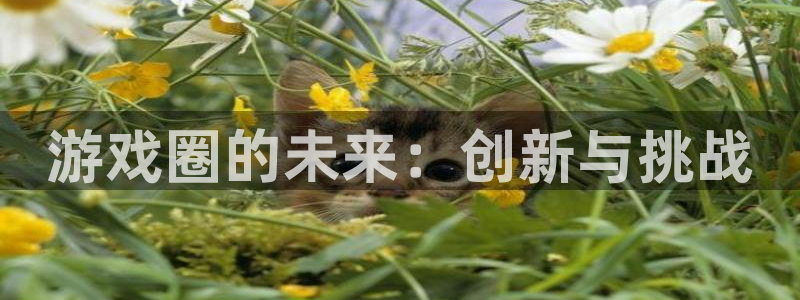 欧博娱乐官网登录：游戏圈的未来：创新与挑战