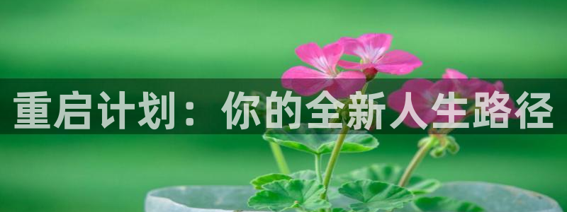 欧博娱乐官网登录：重启计划：你的全新人生路径