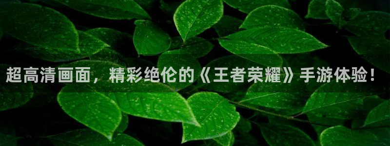 欧博娱乐线路测试：超高清画面，精彩绝伦的《王者荣耀》手游体验