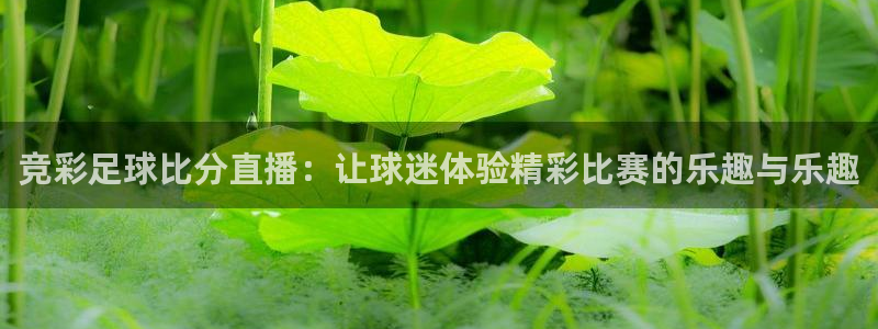 so米体育直播nba赛事：竞彩足球比分直播：让球迷体验精彩比赛的乐趣与乐趣